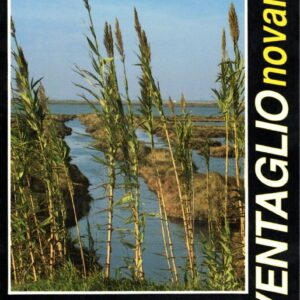 Copertina Ventaglio 90 n. 02