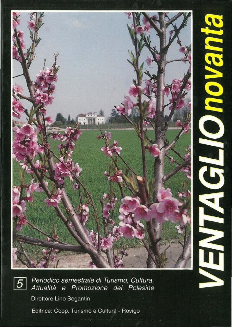 Copertina Ventaglio n. 5