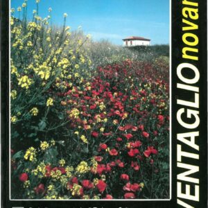 Copertina Ventaglio 90 n. 07