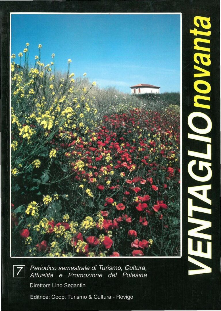 Copertina Ventaglio n. 7