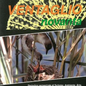 Copertina Ventaglio 90 n. 17