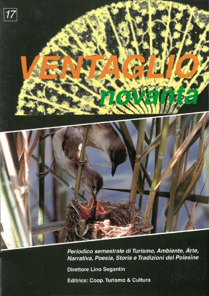 Copertina Ventaglio 90 n. 17