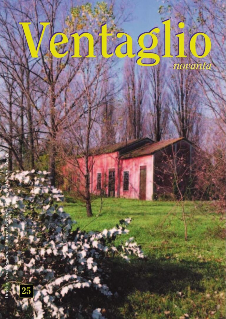Copertina Ventaglio n. 25