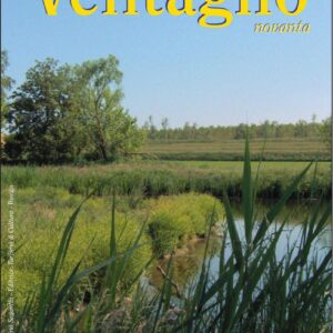 Copertina Ventaglio 90 n. 31