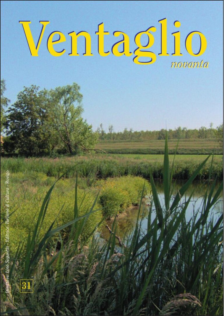 Copertina Ventaglio n. 31