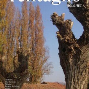 Copertina Ventaglio 90 n. 38