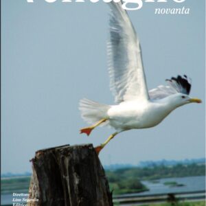 Copertina Ventaglio 90 n. 47