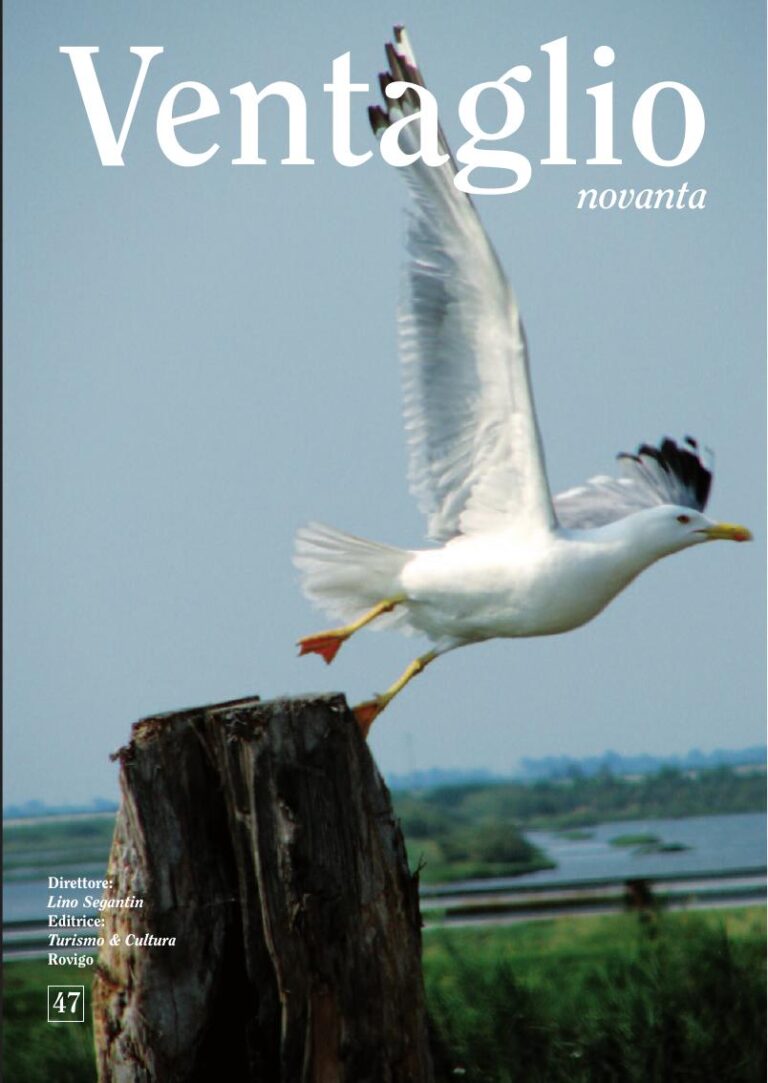Copertina Ventaglio n. 47