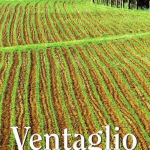 Copertina Ventaglio 90 n. 53