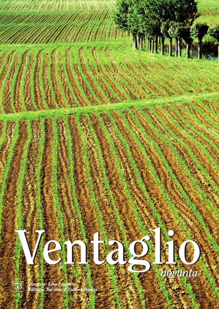 Copertina Ventaglio n. 53