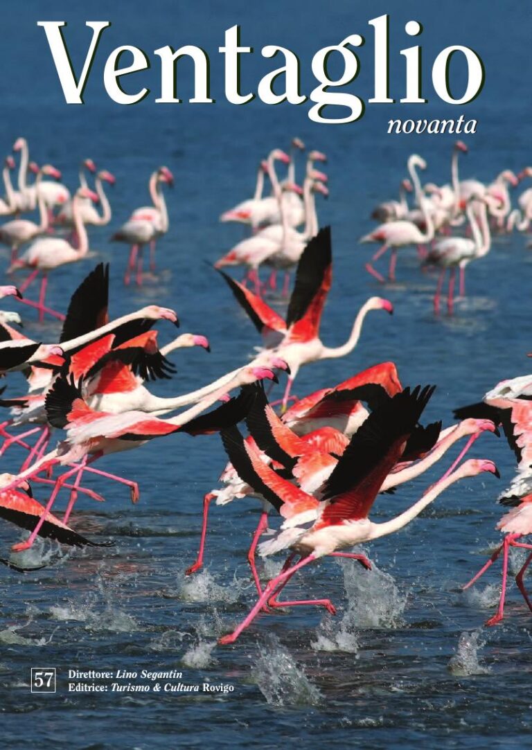 Copertina Ventaglio n. 57