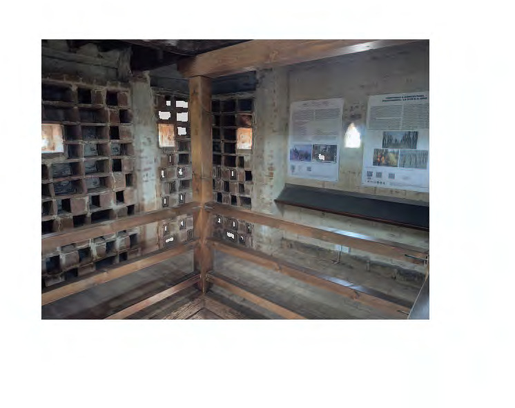 Il Museo della Torre Colombaia