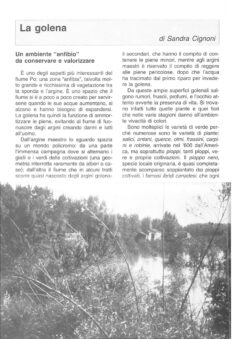 Prima pagina originale dell’articolo La golena