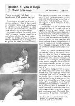 Prima pagina originale dell’articolo Brulica di vita il Bojo di Concadirame
