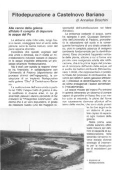 Prima pagina originale dell’articolo Fitodepurazione a Castelnovo Bariano