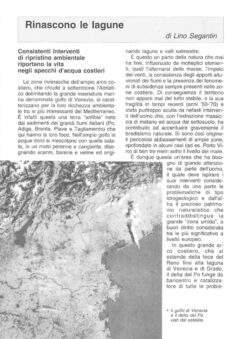 Prima pagina originale dell’articolo Rinascono le lagune
