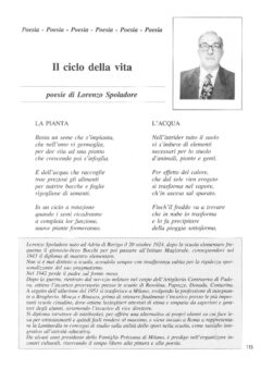 Prima pagina originale dell’articolo Il ciclo della vita