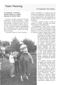 Prima pagina originale dell’articolo Team Penning