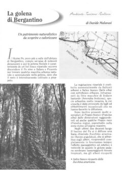 Prima pagina originale dell’articolo La golena di Bergantino